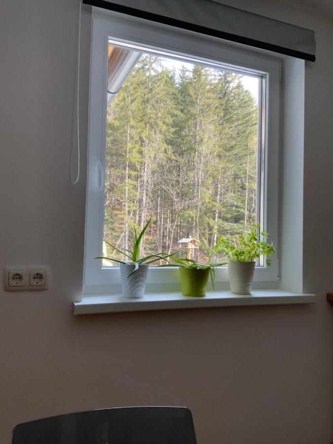 Apartments Traun-Haft Bad Aussee Zewnętrze zdjęcie